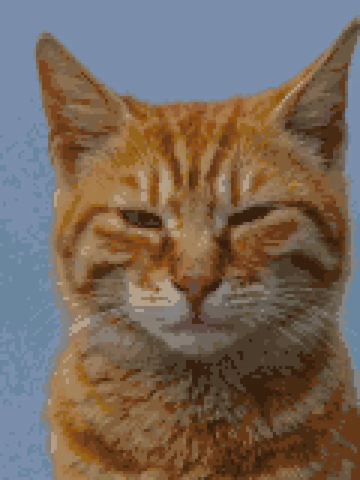 The ginger cat photo as a diamond painting